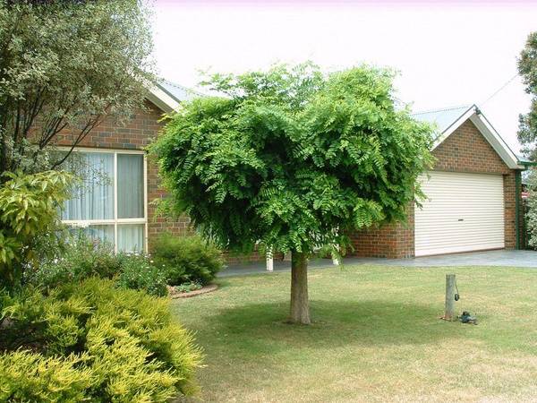 WHY BUILD? Picture 1