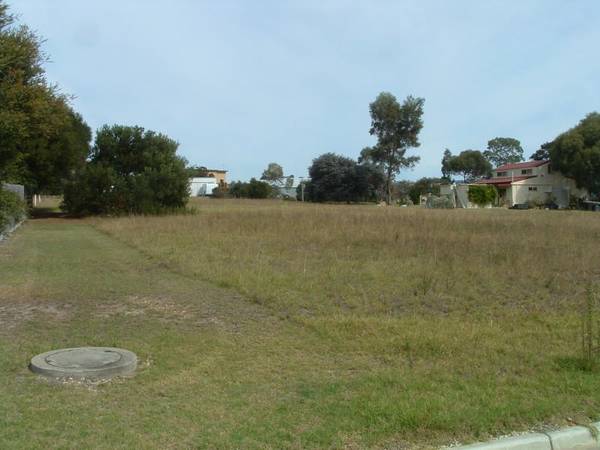 WOULDN'T IT BE NICE! Picture 1