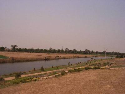 "The Backwater" Picture