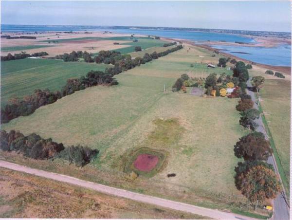 BROADLANDS - SUBSTANTIAL 1900's HOME ON APPROX 6ha's Picture 3