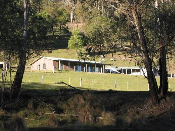 MURRINDAL RIVER FRONTAGE - 15 MINUTES NORTH OF BUCHAN Picture 1