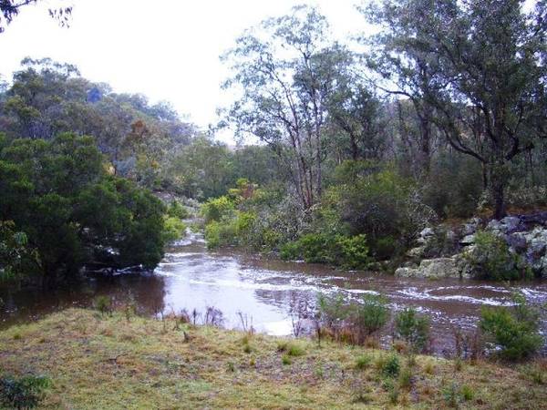 MURRINDAL RIVER FRONTAGE - 15 MINUTES NORTH OF BUCHAN Picture 2