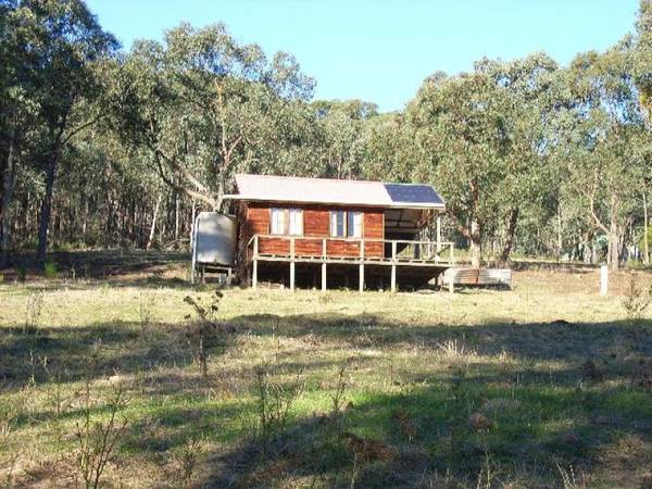MURRINDAL RIVER FRONTAGE - 15 MINUTES NORTH OF BUCHAN Picture 3