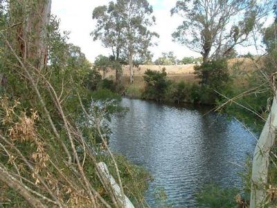 NICHOLSON RIVER RESERVE FRONTAGE Picture