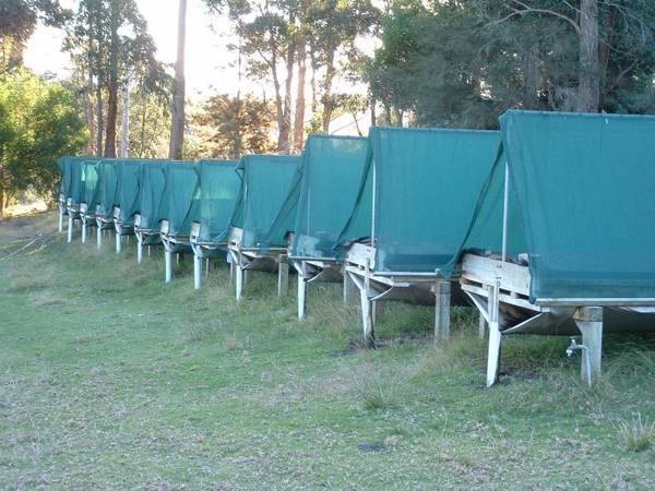 ORGANIC FARM & BUSINESS - "BURRINGBAR" SARSFIELD Picture 3