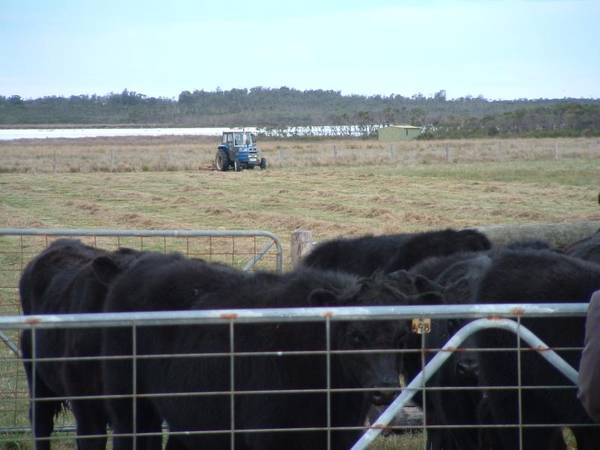 PARADISE ON THE GIPPSLAND LAKES Picture 1