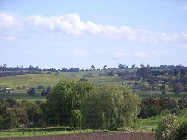 RARE OPPORTUNITY Picture 2