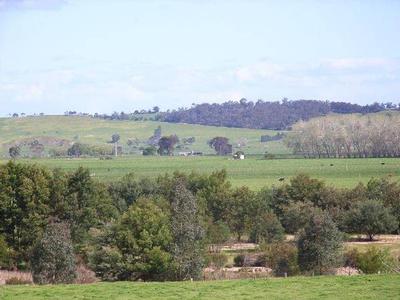 RARE OPPORTUNITY Picture