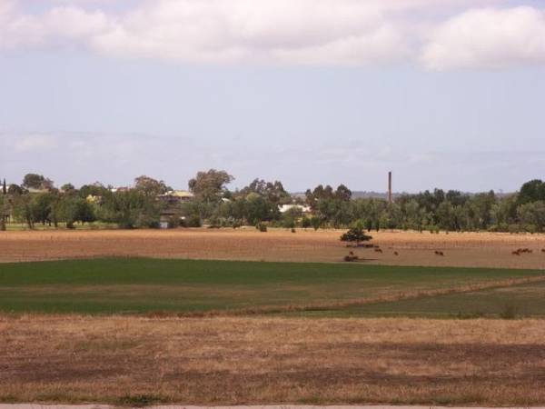 SOMETHING SPECIAL Picture 1