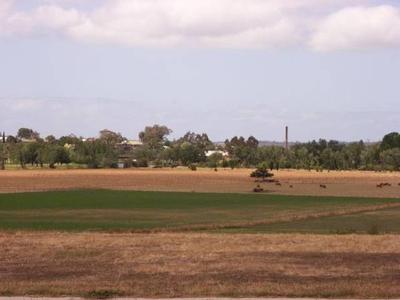 SOMETHING SPECIAL Picture