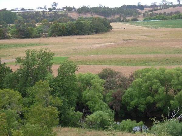 THE BARRER - MITCHELL RIVER Picture 1