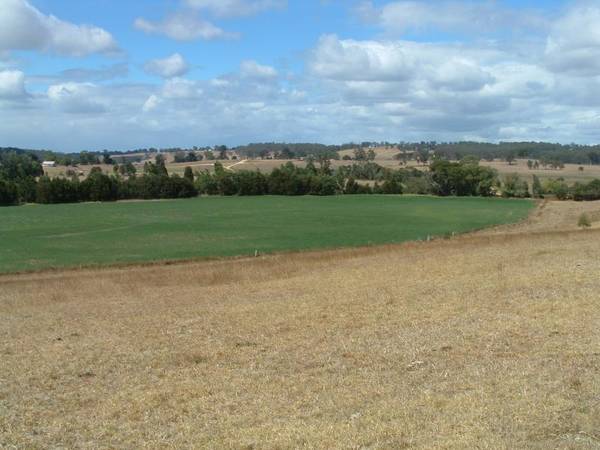 THE RESERVE Picture 1