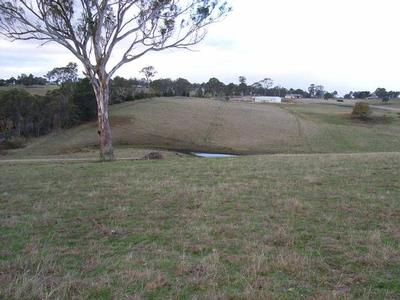 UNDULATING ACRES Picture