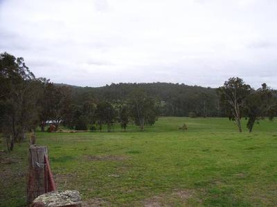 VIEWS OF THE NICHOLSON RIVER Picture