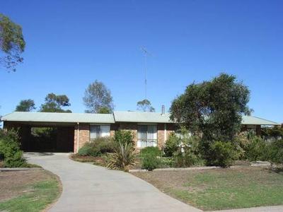 THE COMPLETE PACKAGE Picture