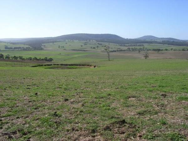 I'M A BELIEVER Picture 1