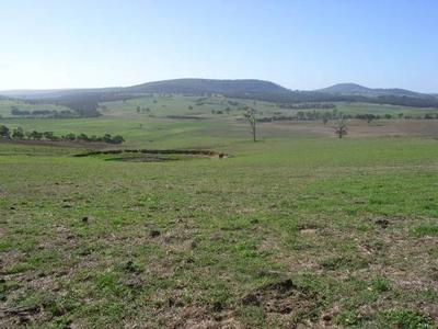 I'M A BELIEVER Picture I'M A BELIEVER Picture