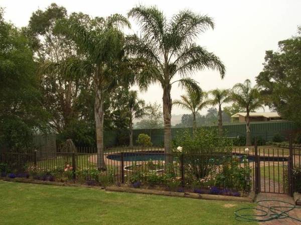 PICNIC POINT- 500M TO MITCHELL RIVER Picture 3