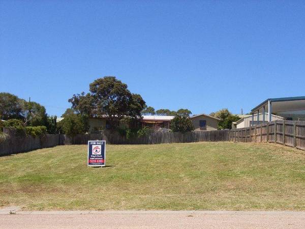 206 ALBATROSS Picture 2