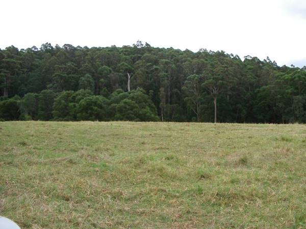 BLISSFUL TRANQUILITY DENOTES THIS BLOCK Picture 2