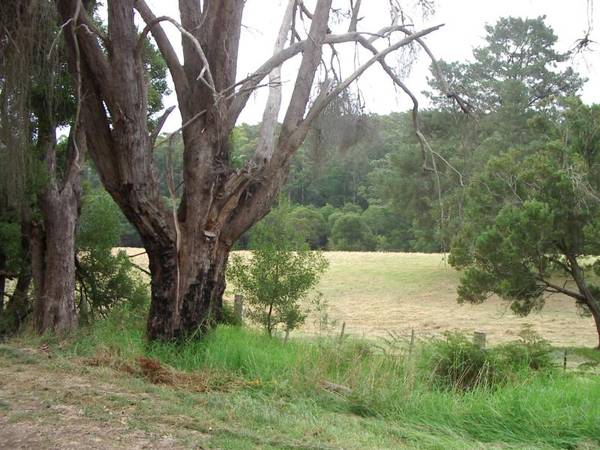 BLISSFUL TRANQUILITY DENOTES THIS BLOCK Picture 1