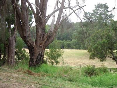 BLISSFUL TRANQUILITY DENOTES THIS BLOCK Picture BLISSFUL TRANQUILITY DENOTES THIS BLOCK Picture