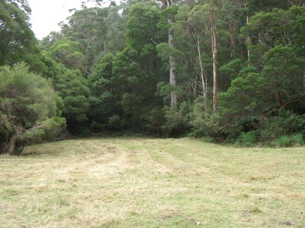 BLISSFUL TRANQUILITY DENOTES THIS BLOCK Picture 3