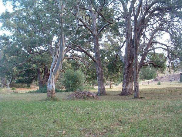 Block with Jetty Picture 1