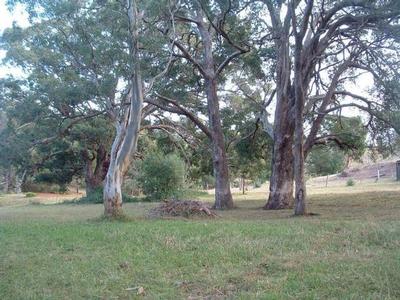 Block with Jetty Picture Block with Jetty Picture