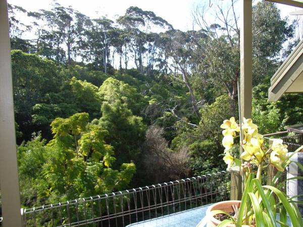 BLUE CHIP LOCATION- SEAVIEW PARADE Picture 3