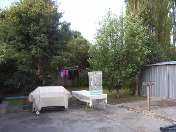 BUSINESS ZONE 1! Picture 2