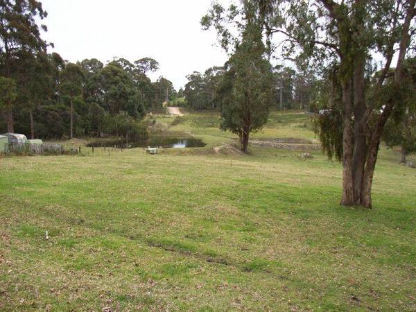 Do Yourself A Favour Picture 3