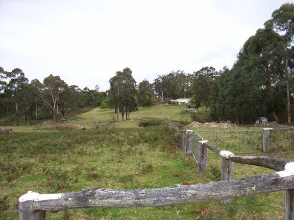 Do Yourself A Favour Picture 2