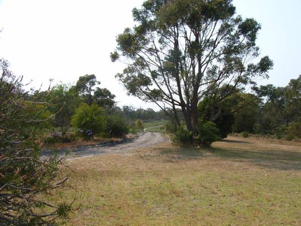 One Chance in a Lifetime Picture 1