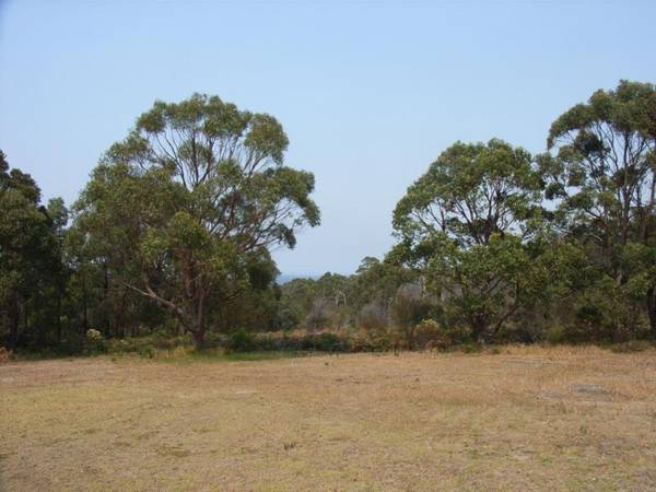 One Chance in a Lifetime Picture 3