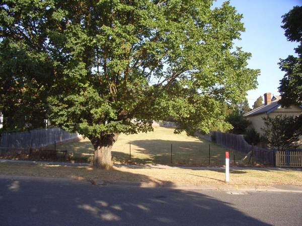 PRIME POSITION Picture 1