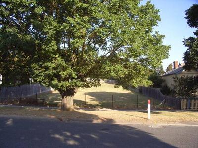 PRIME POSITION Picture PRIME POSITION Picture