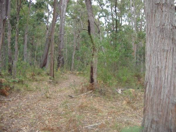 SUPREME TRANQUILITY IN THIS IDEAL WEEKENDER Picture 3