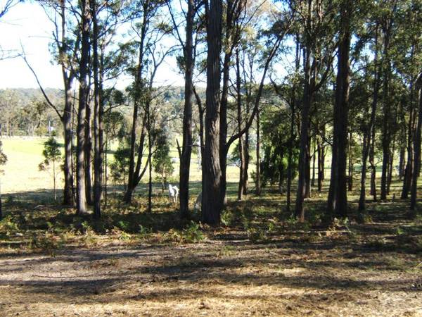 8 ACRES AT NICHOLSON Picture 1