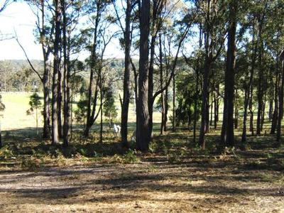 8 ACRES AT NICHOLSON Picture