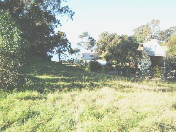 A VISION SPLENDID! Picture 2