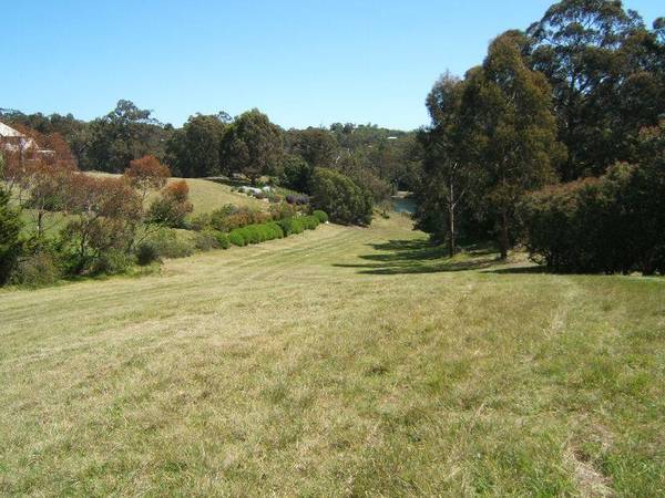 ABSOLUTE WATERFRONT LAND ON CHINAMANS CREEK Picture 2