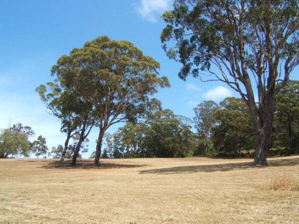 BANCROFT RIDGE Picture 1