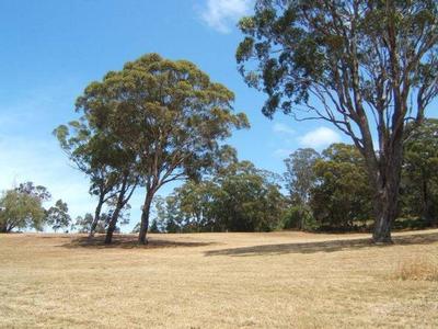 BANCROFT RIDGE Picture