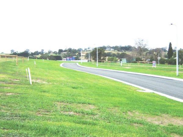 BUY & BUILD Picture 1