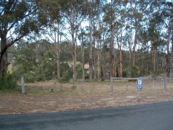 CHINAMAN'S CREEK METUNG Picture 1