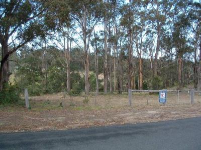 CHINAMAN'S CREEK METUNG Picture