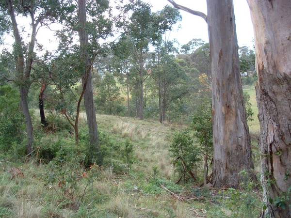 CHINAMAN'S CREEK METUNG Picture 2