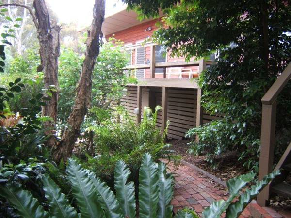 DON'T DREAM IT, DO IT! Picture 2