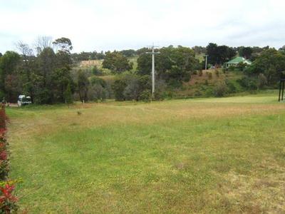 LAKE GLIMPSES Picture